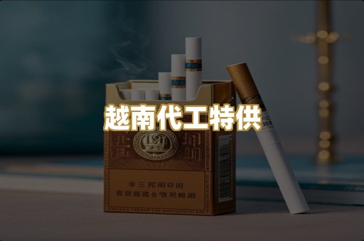 越南代工特供